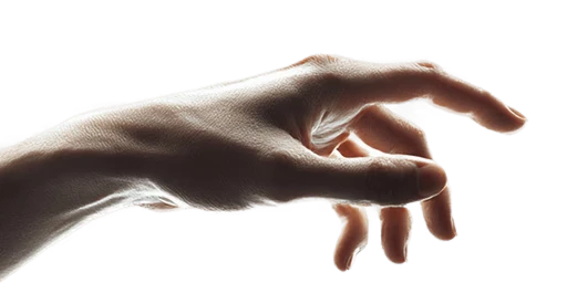 c5-hand-1.webp